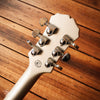 Epiphone Trailer Park Troubadours Airscreamer Silver 2003
