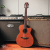 LAG Tramontane TN300A14SCE Classical Acoustic/Electric Natural Satin 2011