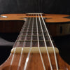 Gibson Chet Atkins CE Electric Nylon String Natural 1991