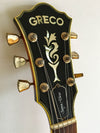 Used Greco Super View SV-800 Semi-Hollow Guitar