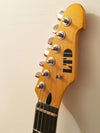 Used ESP LTD TE-202 Tele Style Sunburst Relic