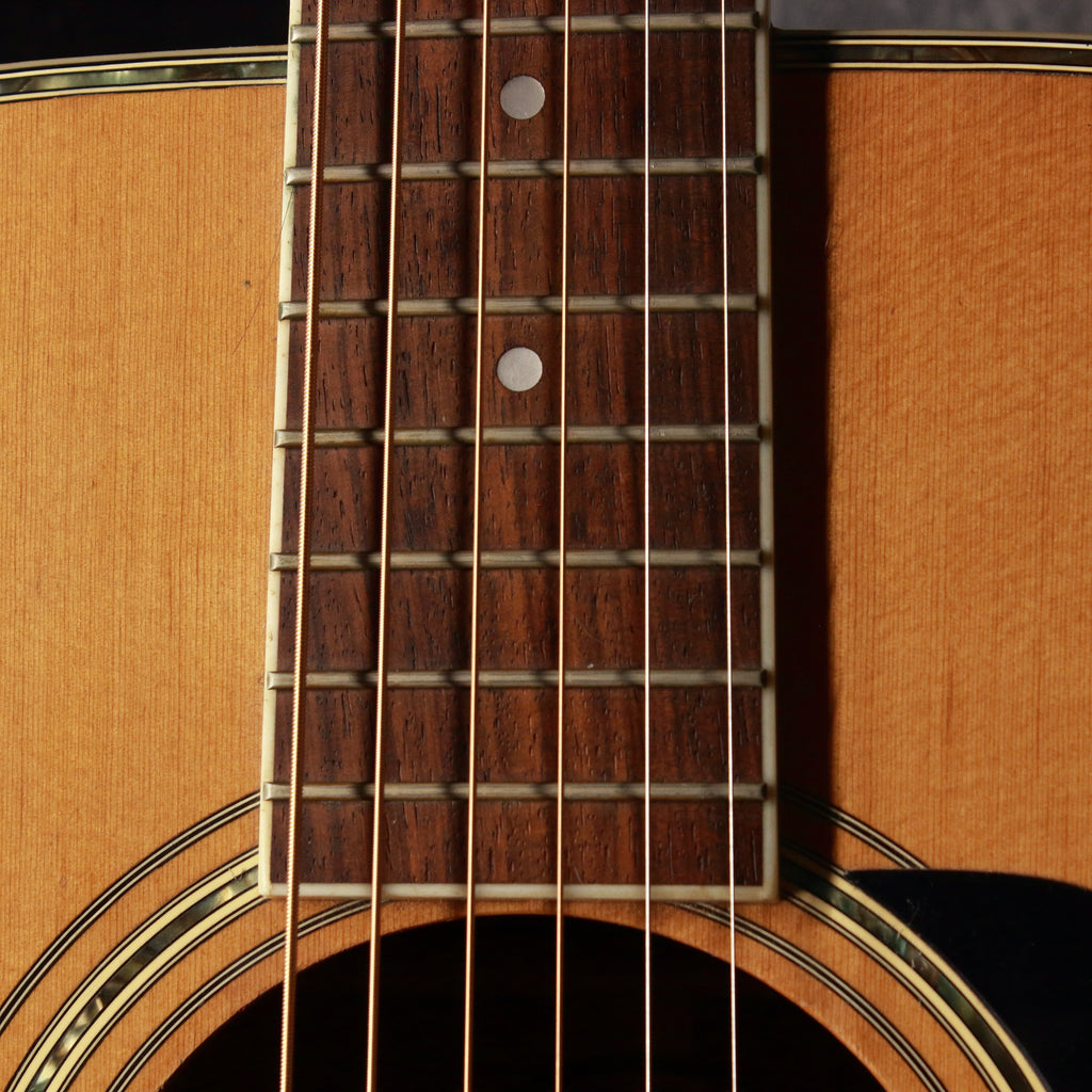 Morris MD-515 Dreadnought Acoustic 1983