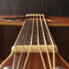 Tokai Cat's Eyes CE-600 Dreadnought Acoustic 1975