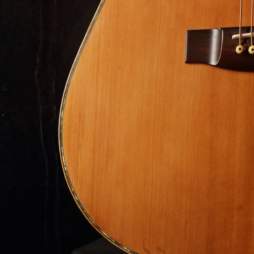 Kansas KW-150 Dreadnought Acoustic 1975