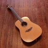 Takamine Pro Series P3D Acoustic/Electric 2012