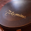 Takamine Pro Series P3D Acoustic/Electric 2012