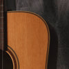 Takamine Pro Series P3D Acoustic/Electric 2012