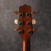 Takamine Pro Series P3D Acoustic/Electric 2012