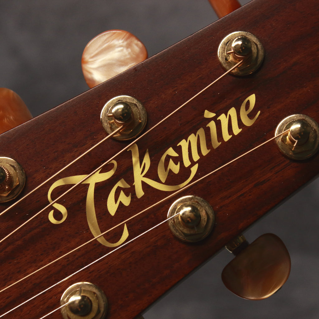 Takamine Pro Series P3D Acoustic/Electric 2012