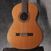 Ryoji Matsuoka M50 Classical Acoustic 1999