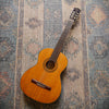 Wayne W-30 Classical Acoustic c1975