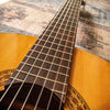 Wayne W-30 Classical Acoustic c1975