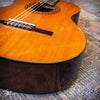 Wayne W-30 Classical Acoustic c1975