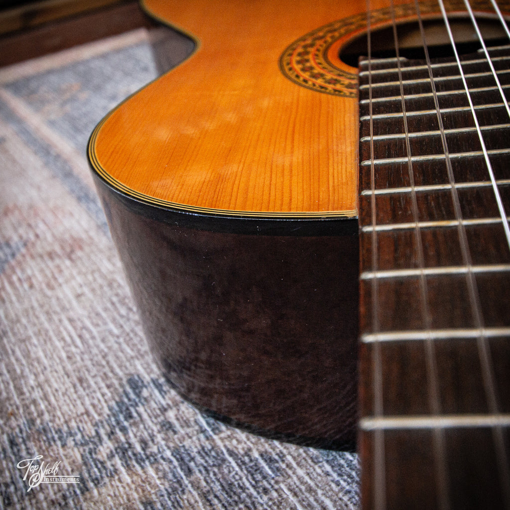 Wayne W-30 Classical Acoustic c1975