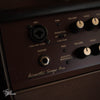 Boss Acoustic Singer Pro 120w 1x8" Stage Amp 2021