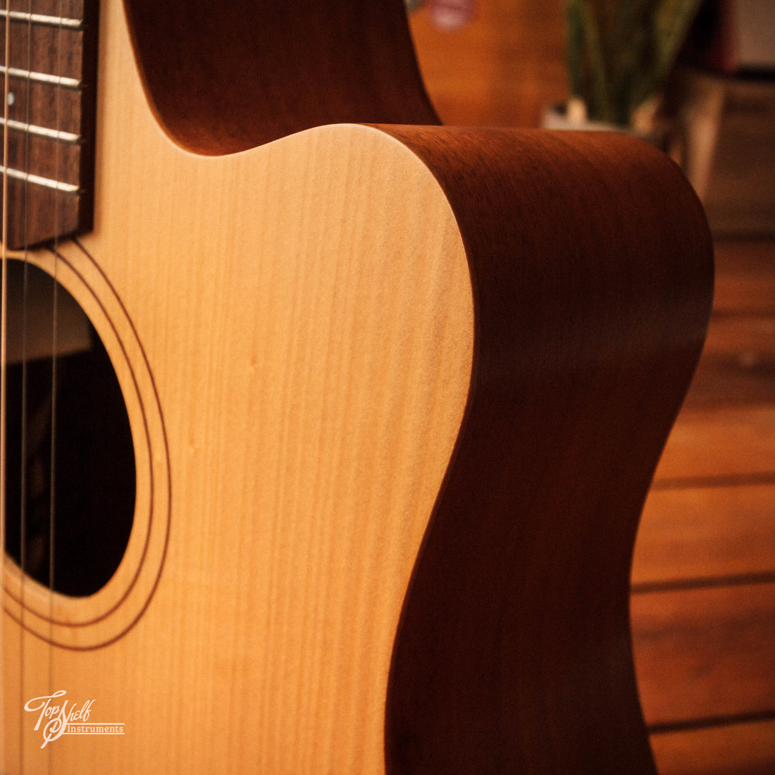 Cole Clark Fat Lady FL1EC-BB Natural 2015