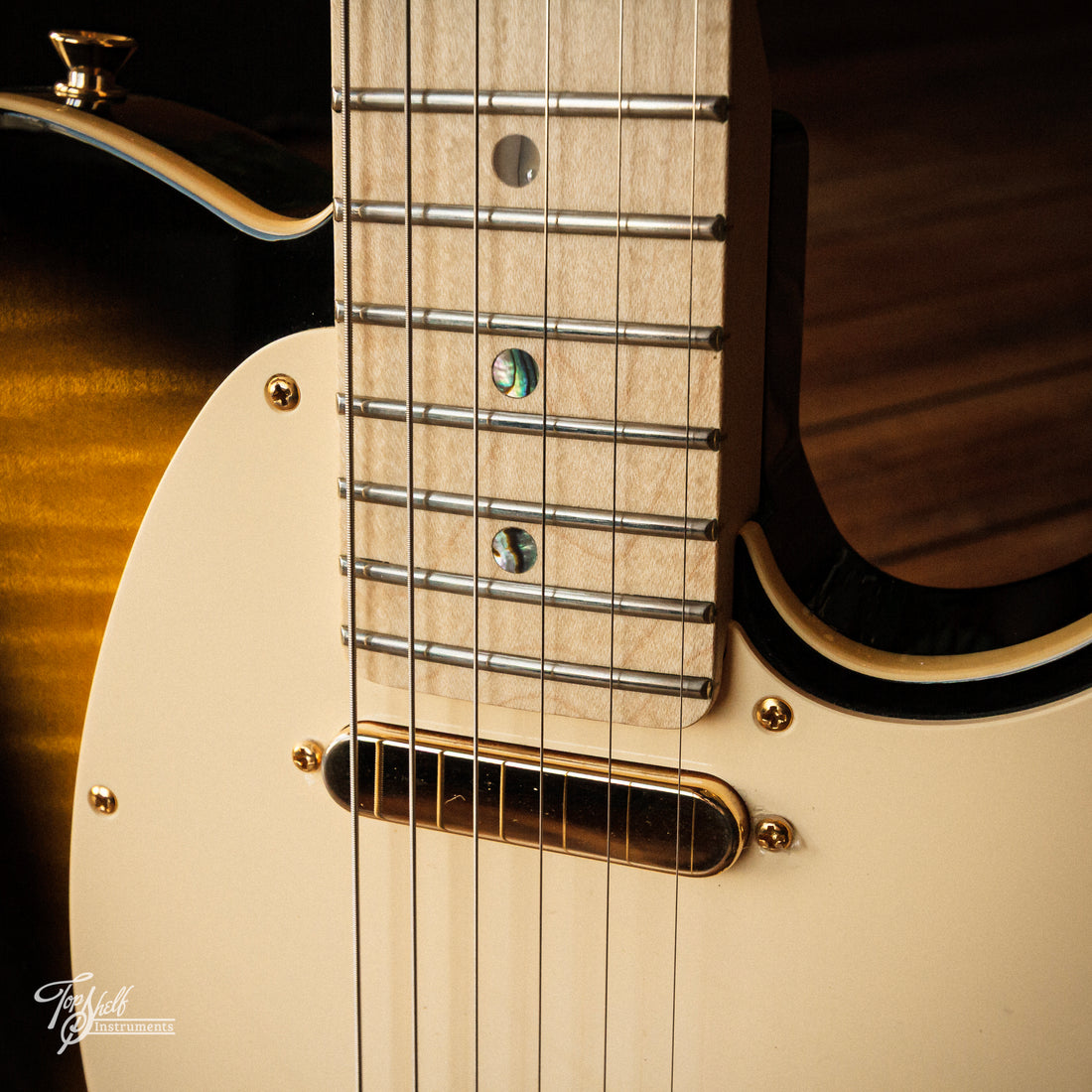 Fender Japan Richie Kotzen Telecaster Sunburst 2022