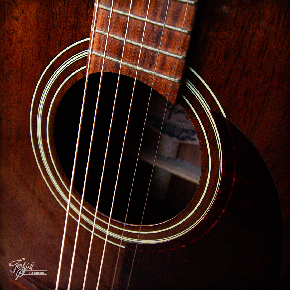 Fender Newporter Dreadnought Acoustic Walnut 1990