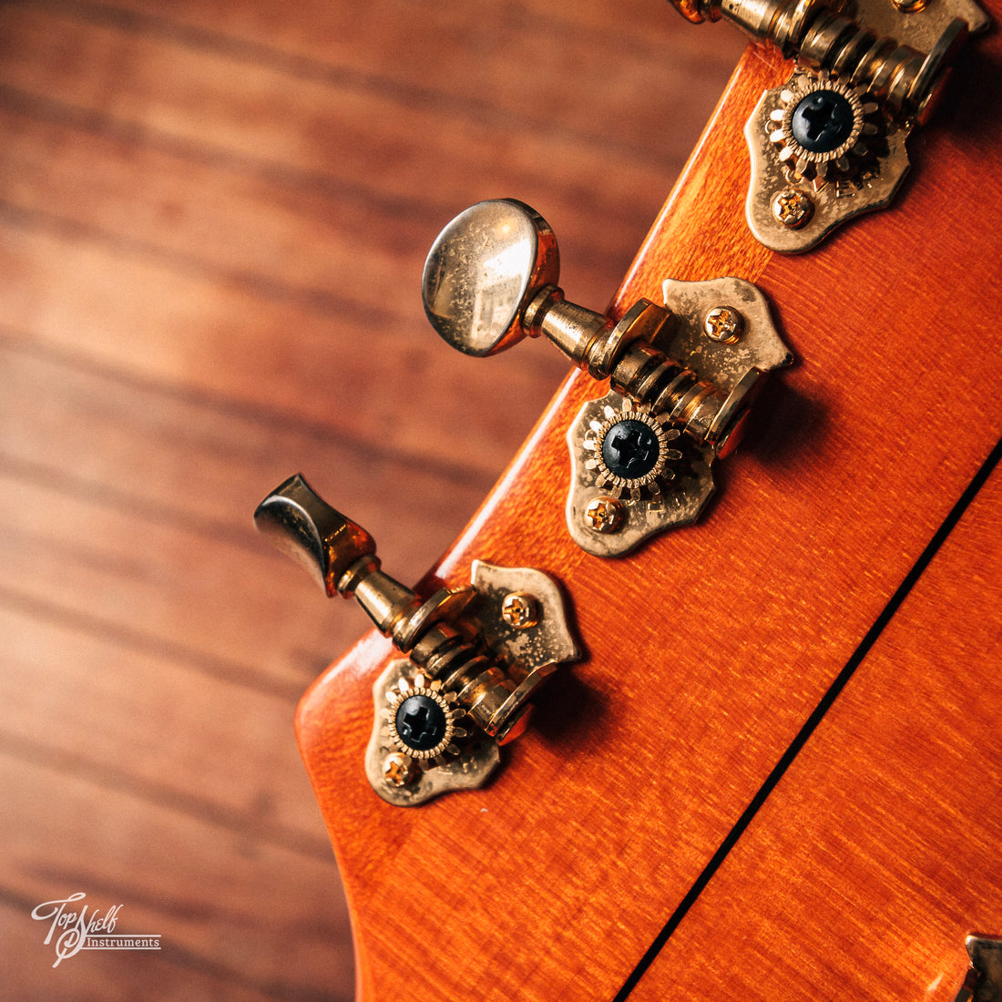 Gretsch G6120DSW Nashville Western Maple Stain 2004