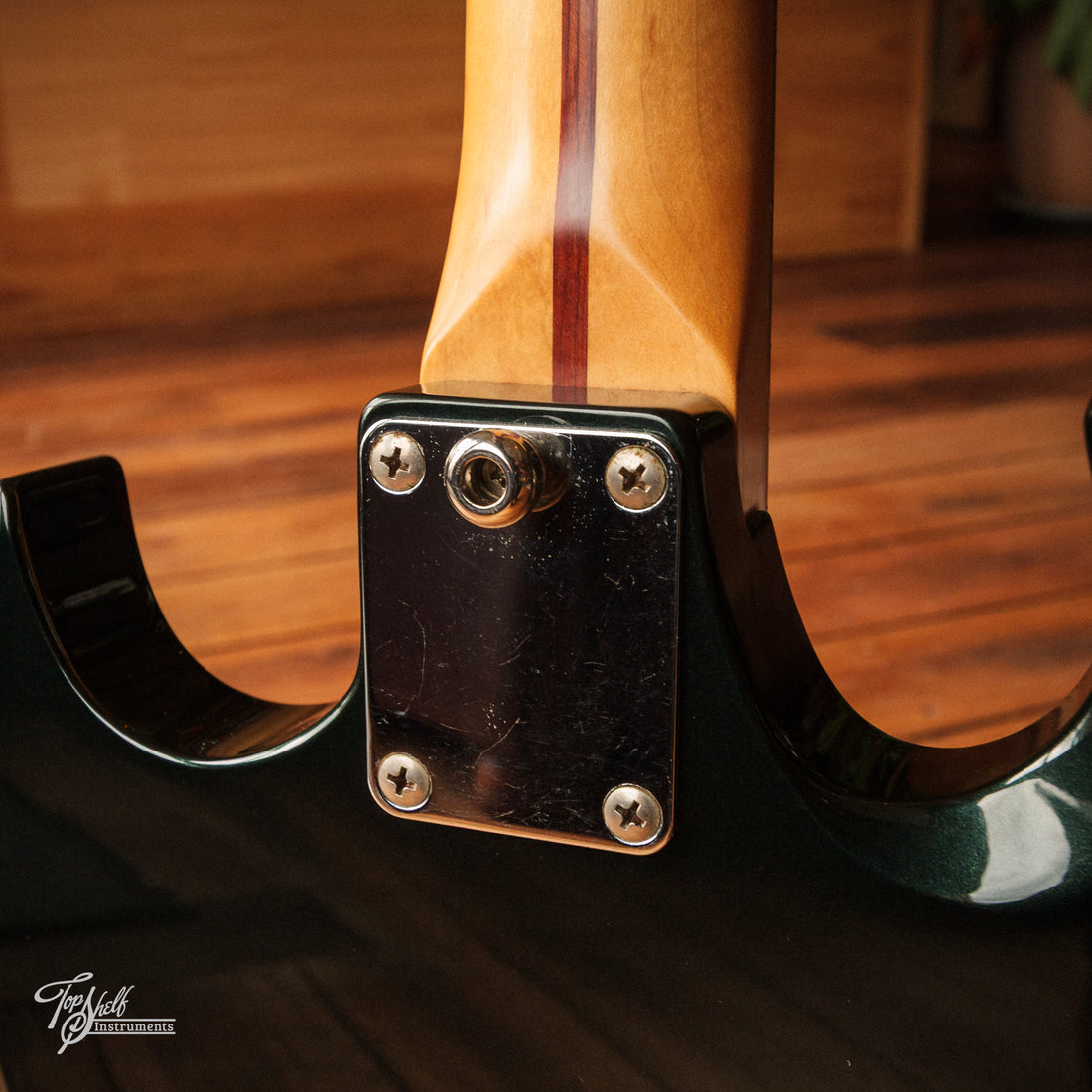 History ZSG-CFS German Black 2001