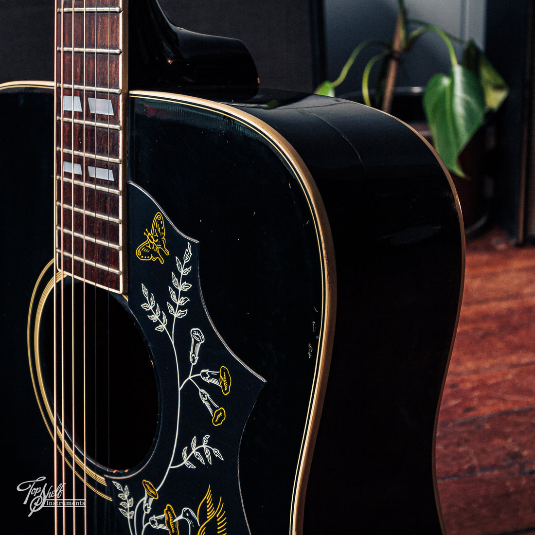 Ibanez 684 Concord Dreadnought Acoustic Black 1978