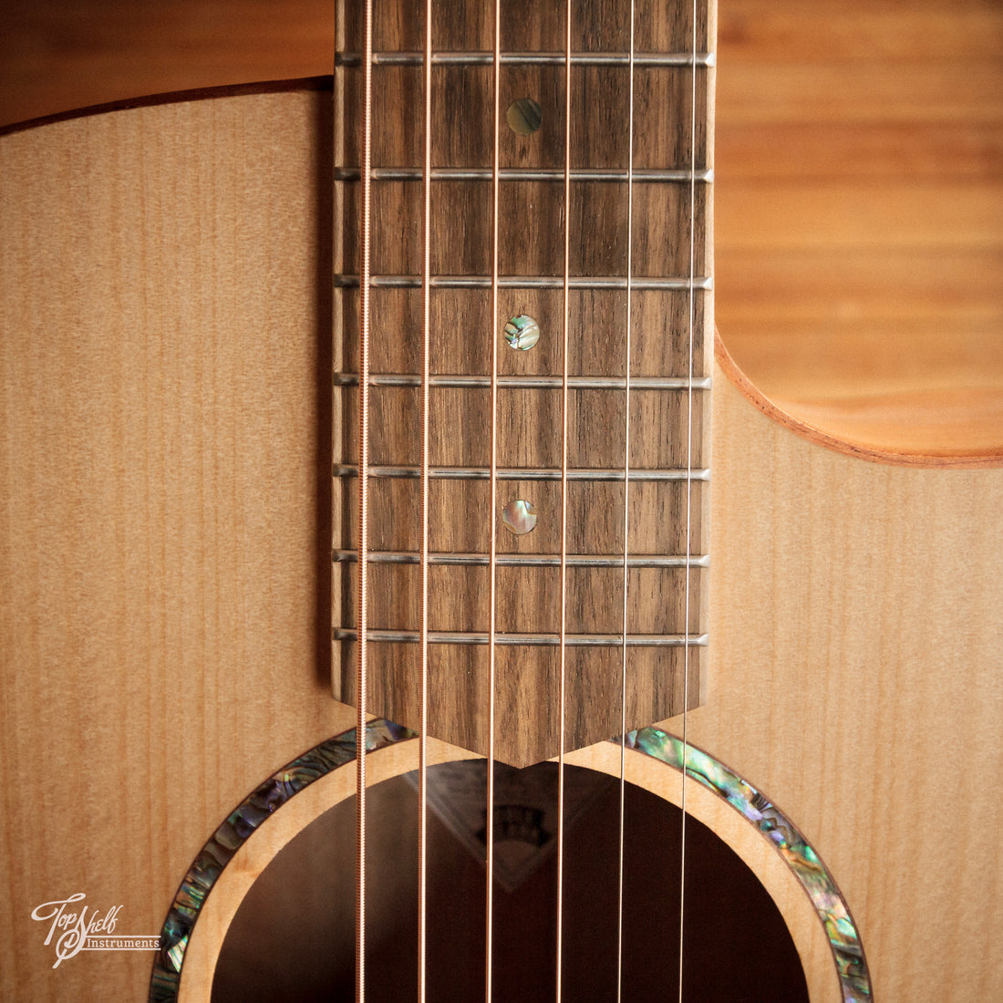 Cole Clark San Grand Auditorium SAN1EC-BM Natural 2025