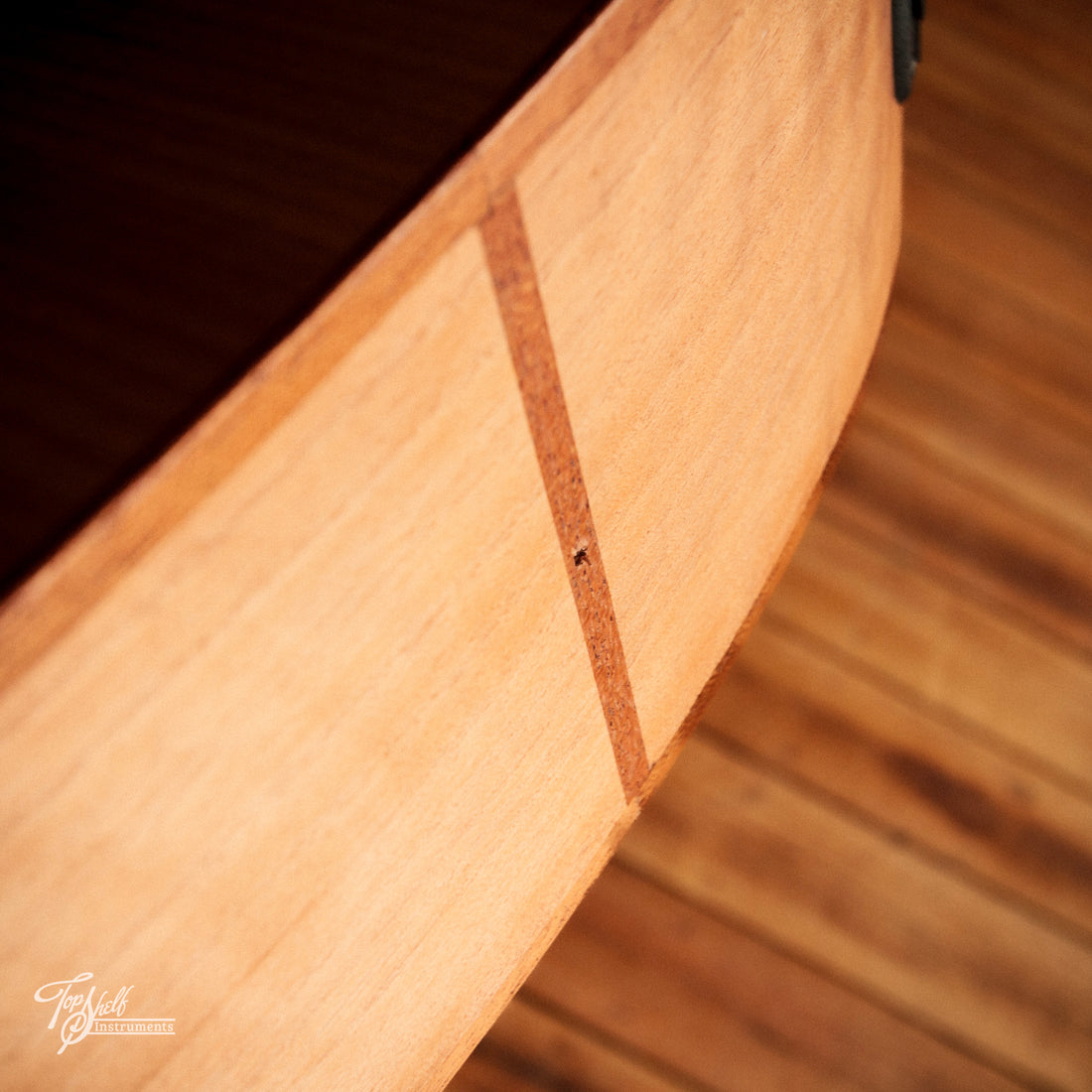 Cole Clark San Grand Auditorium SAN1EC-BM Natural 2025