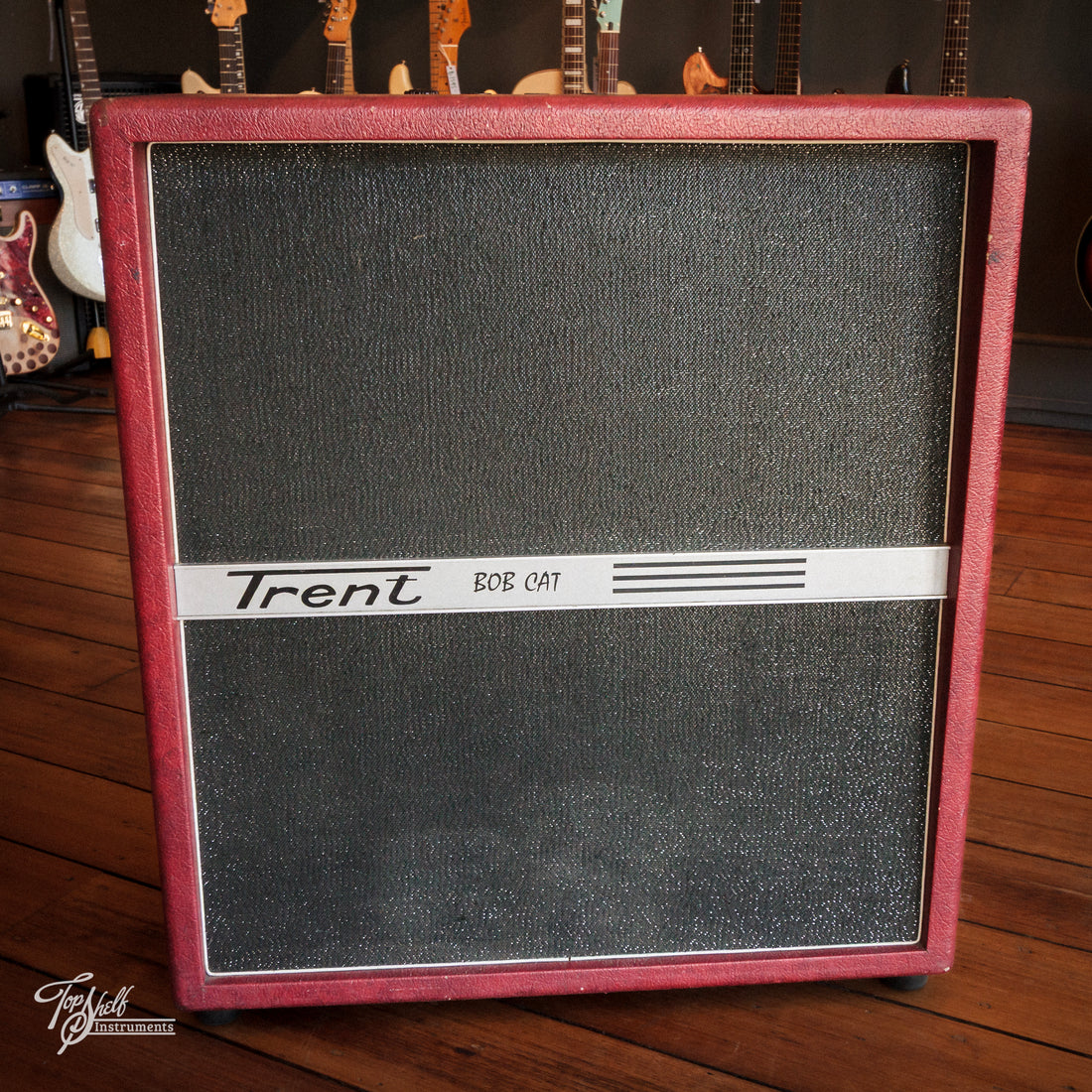 Trent Bobcat Super T60 4x12 Guitar Combo Amp 1965