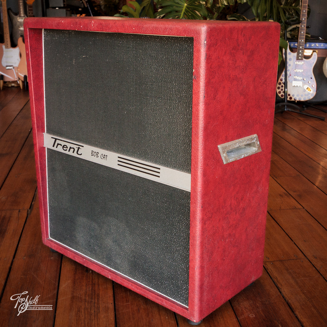 Trent Bobcat Super T60 4x12 Guitar Combo Amp 1965