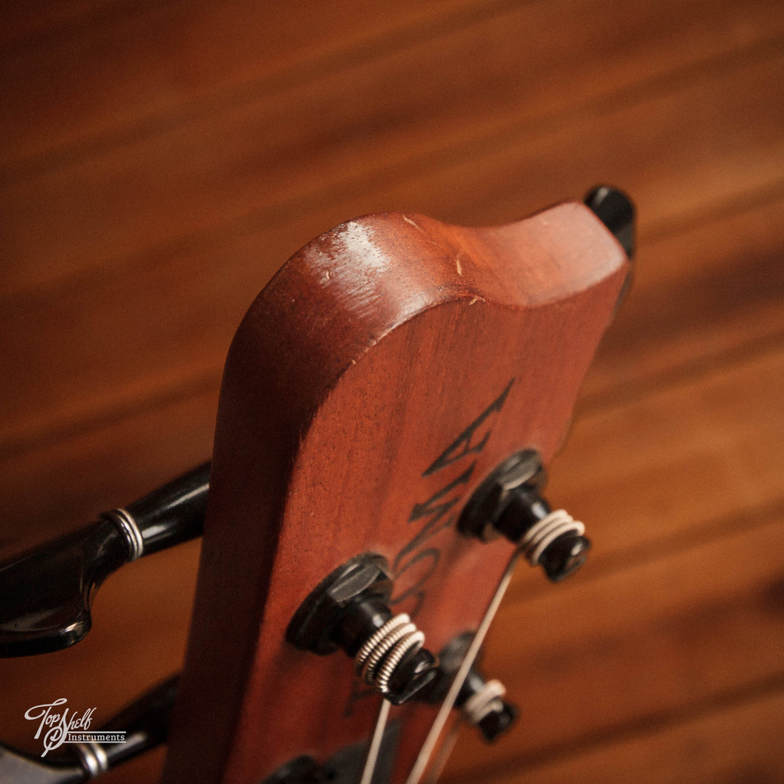 Tacoma Thunderchief CB10 Acoustic Bass Natural 2001