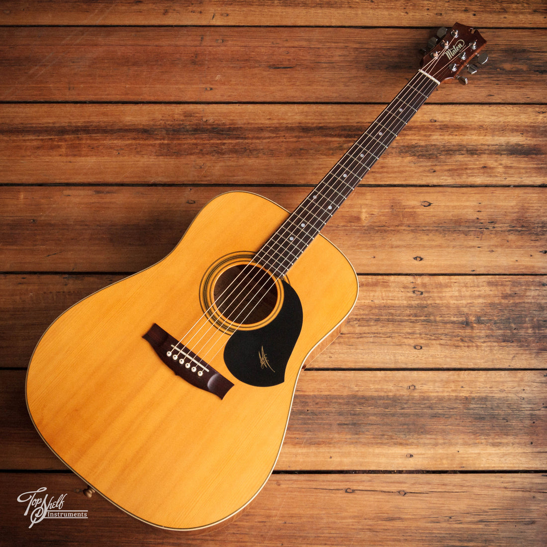 Maton CW80/6 Custom Gloss Dreadnought Acoustic 1996