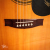 Maton CW80/6 Custom Gloss Dreadnought Acoustic 1996