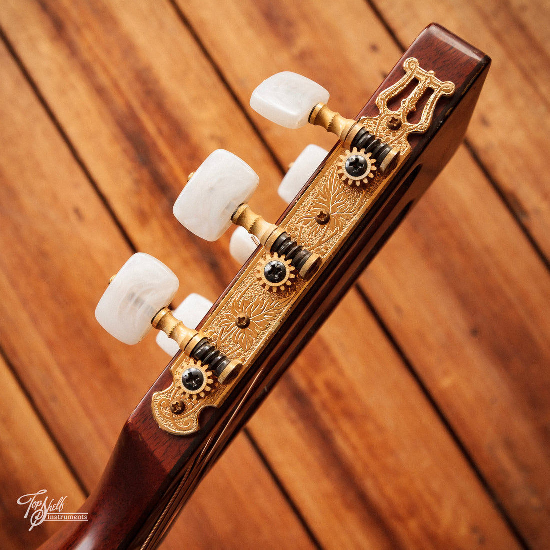 Takamine PT-406 Parlour Electric Acoustic 1983