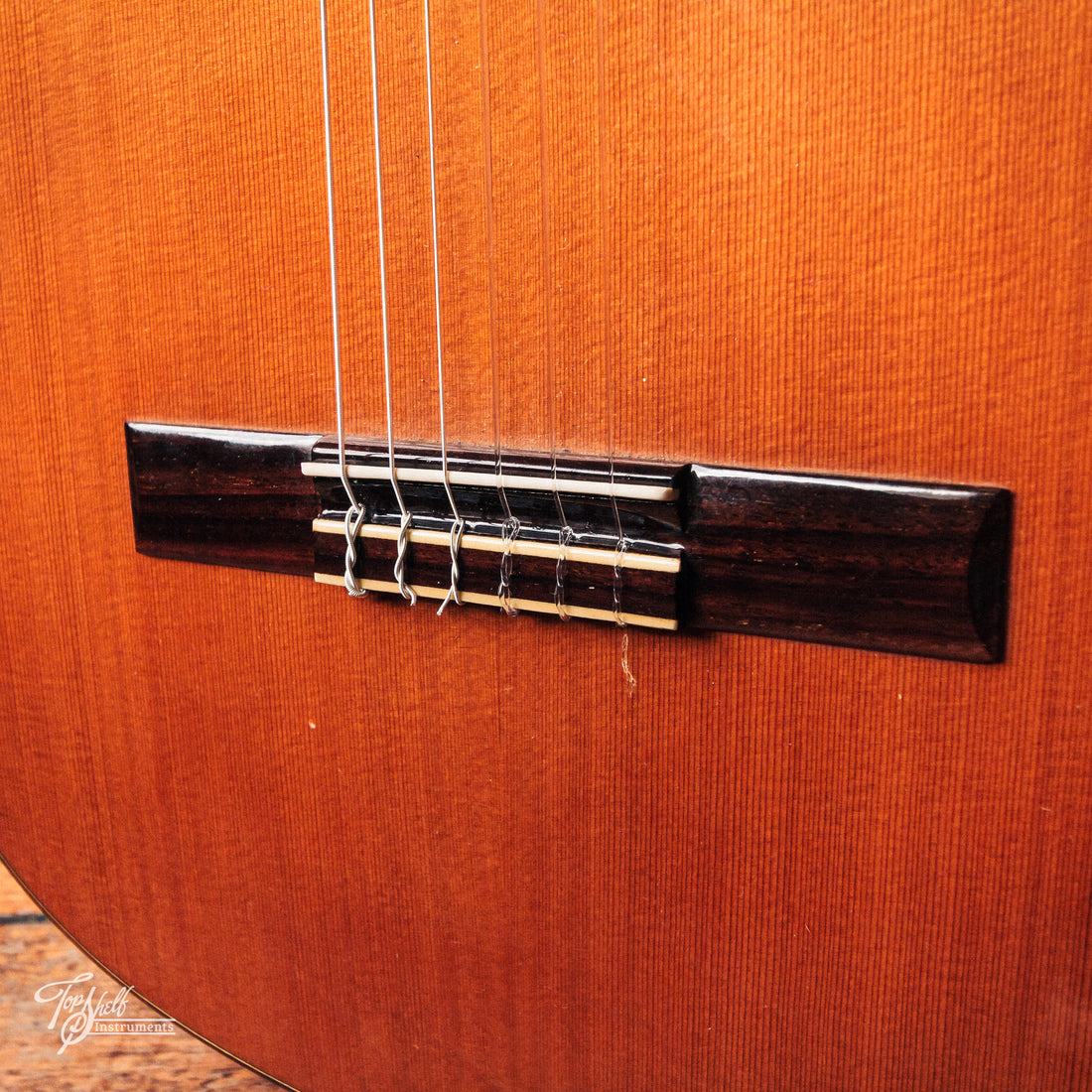 Aria AC25 Concert Classical 2005