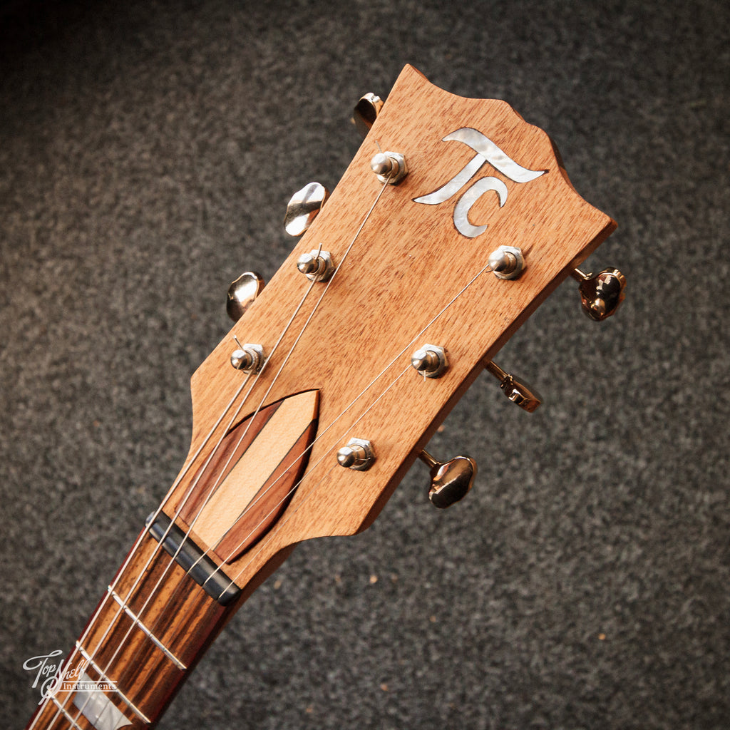 Twenty Cent Guitar Co Blackwood Singlecut Special 2025