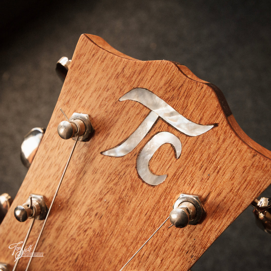 Twenty Cent Guitar Co Blackwood Singlecut Special 2025