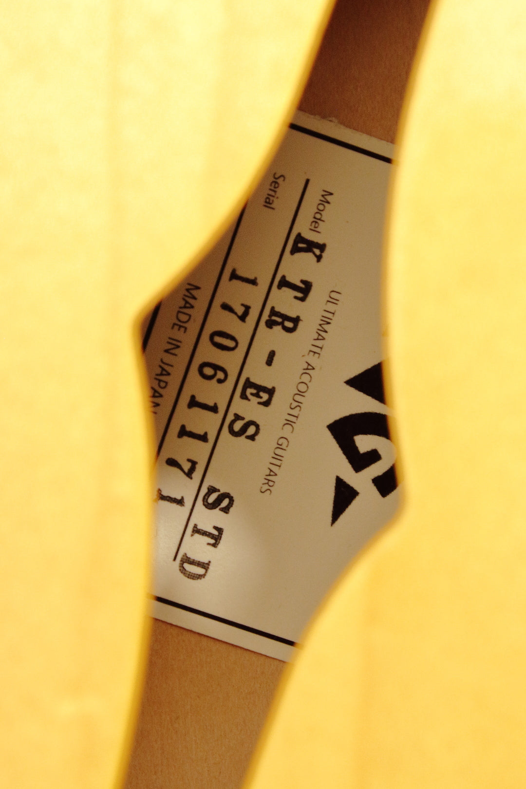 VG KTR-ES STD Natural Gloss 2017