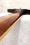 Gibson Firebird V Vintage Sunburst 1997