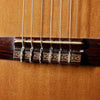 Hashimoto Gut Guitar Model No. 234 Classical Acoustic 1967