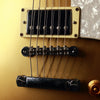 Brian by Bacchus BLS-500G Gold Top 1998