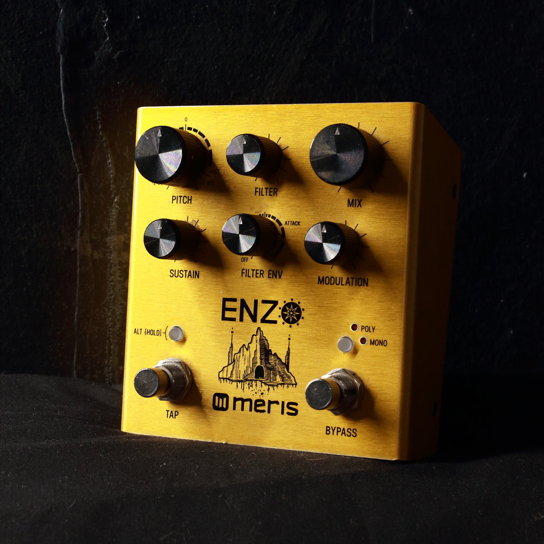 Meris Enzo Synthesizer Pedal
