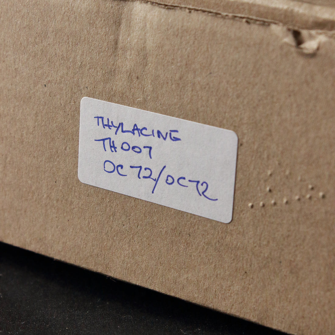 Van Diemens AAD Thylacine OC72 Fuzz Pedal