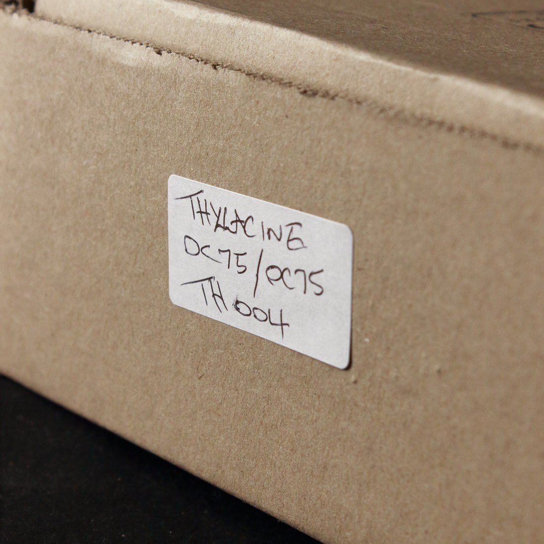 Van Diemens AAD Thylacine OC75 Fuzz Pedal