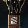 Washburn J-9 Washington Hollow Body Black 1998