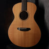 Breedlove Oregon Concert Acoustic/Electric 2014