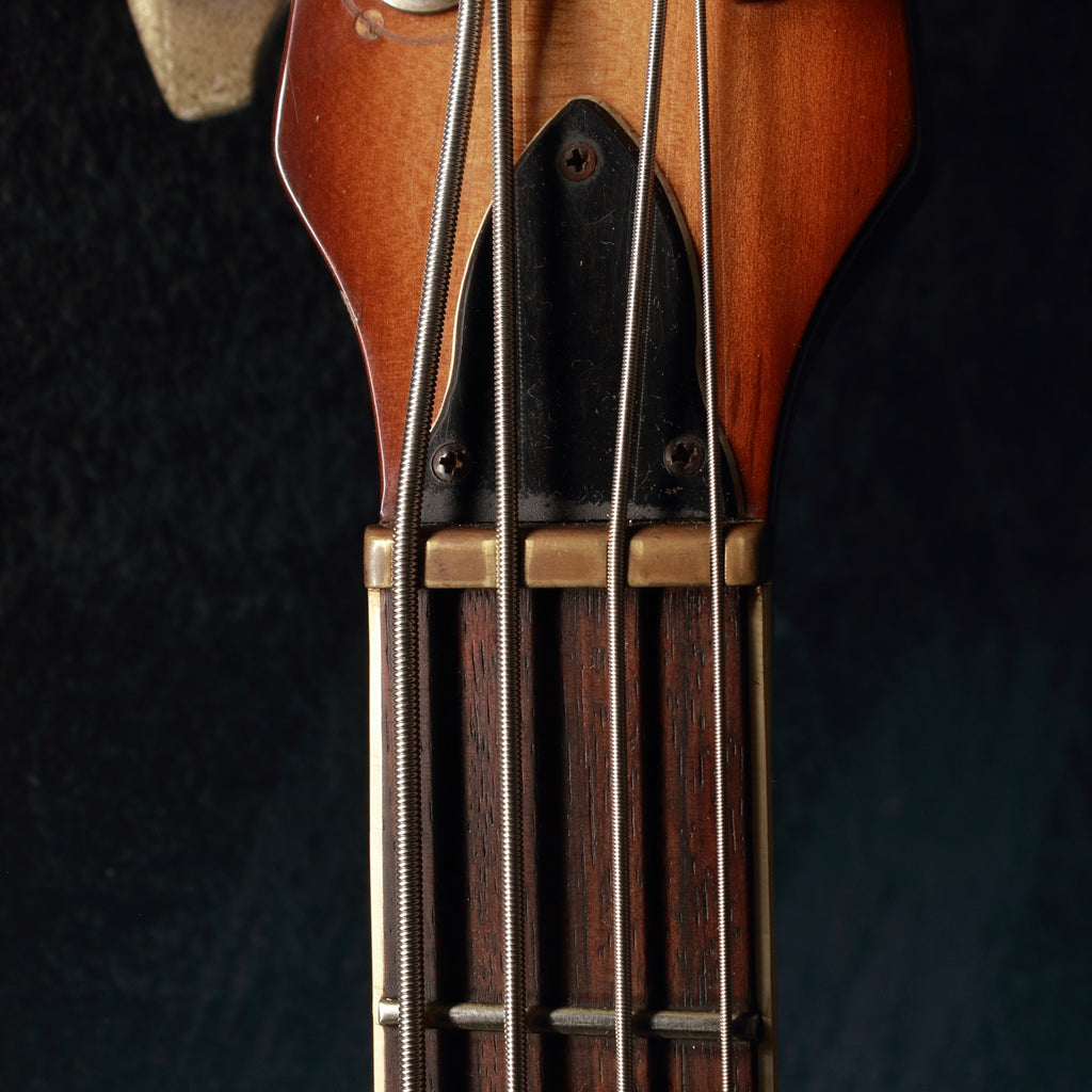 Greco VB500 Violin Bass Honey Burst 1981