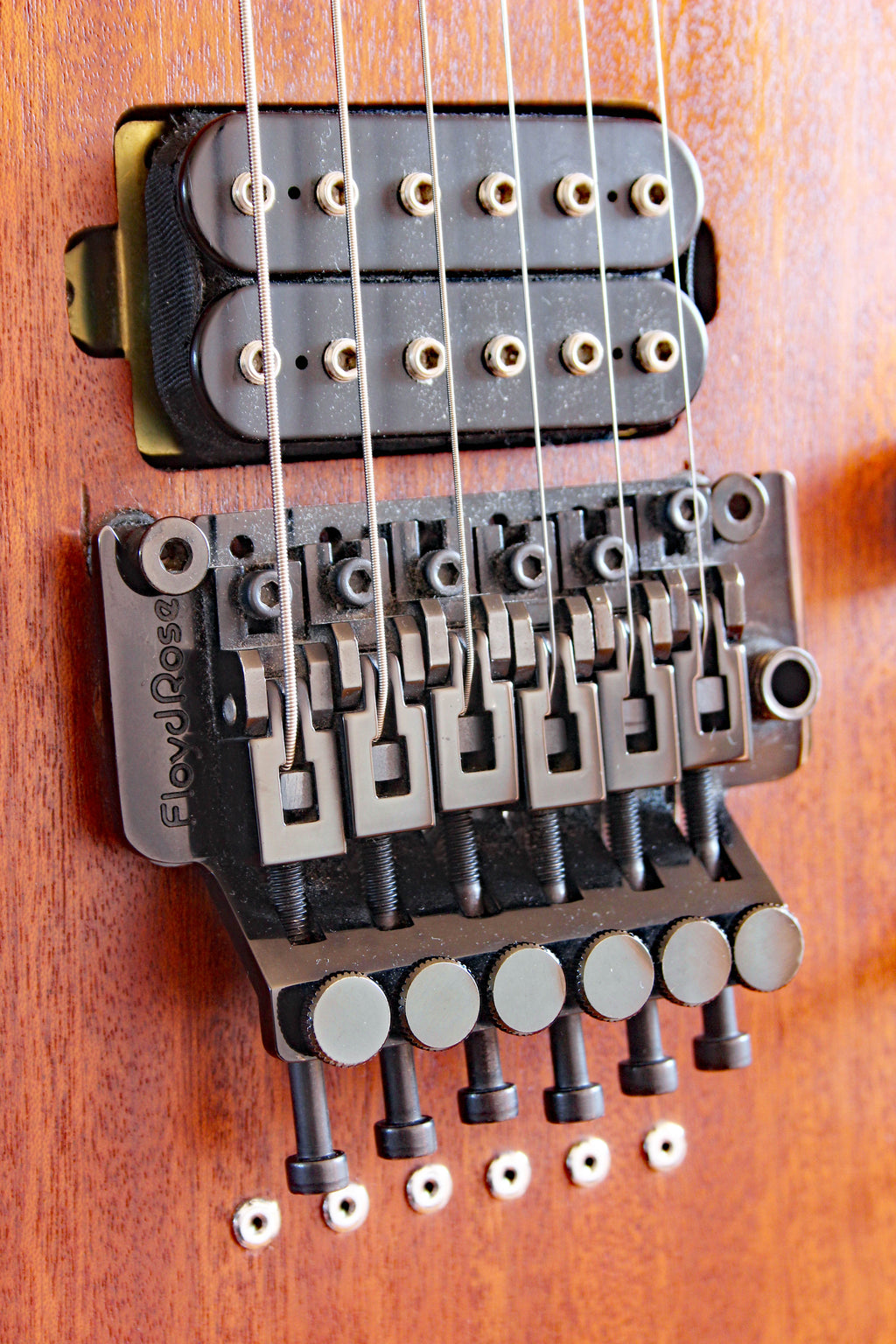 Chapman ML2 First Run Mahogany Modded