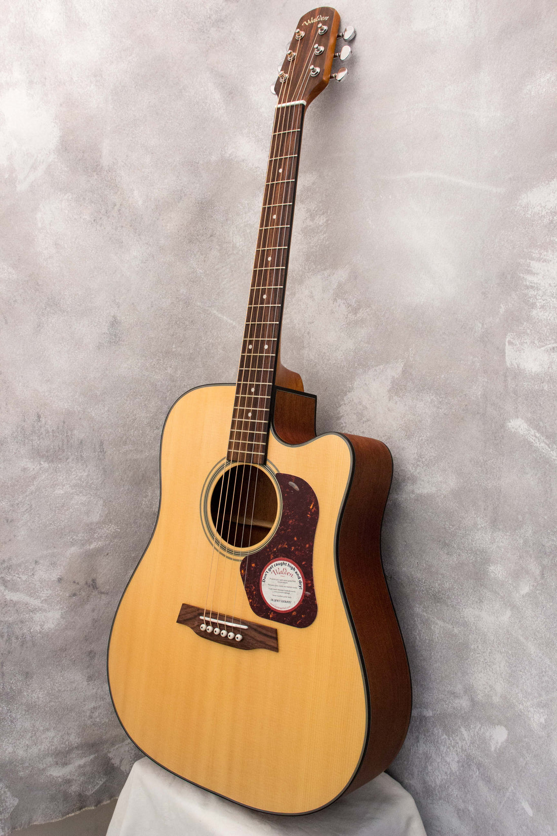 Walden D550CE Dreadnought Acoustic/Electric 2006