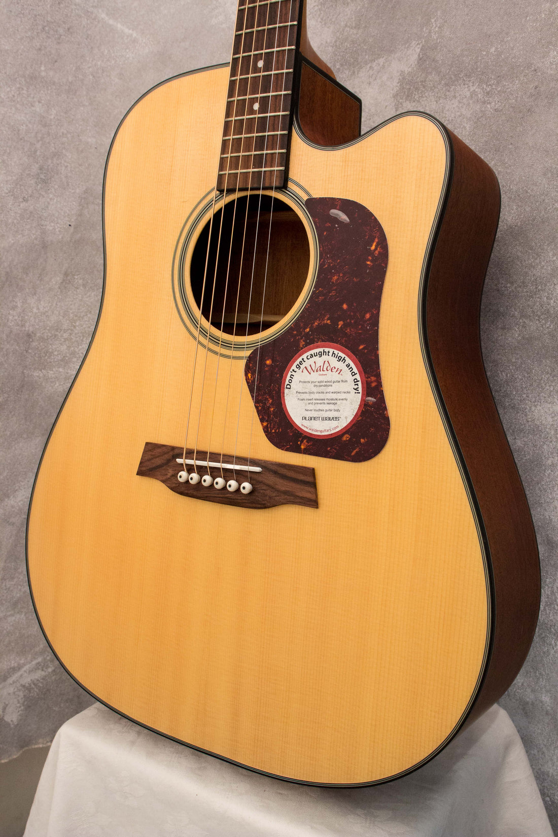 Walden D550CE Dreadnought Acoustic/Electric 2006