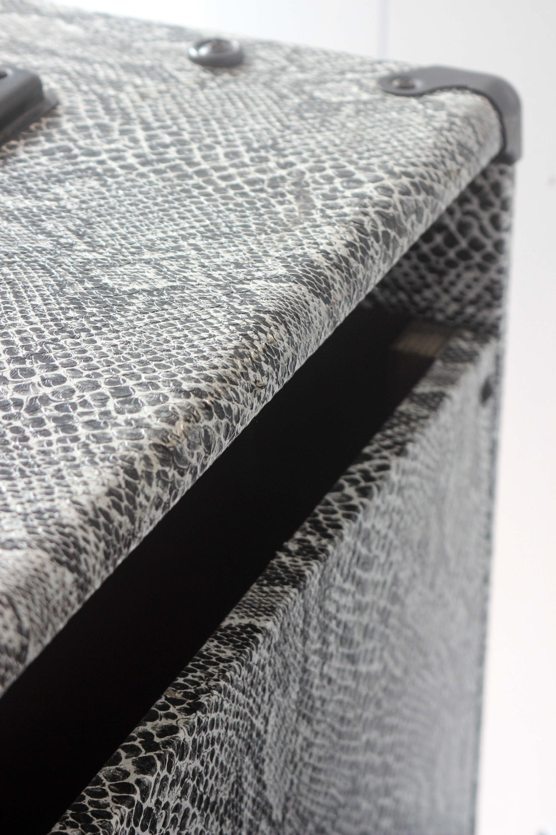 Soldano Astroverb 16 2x12" Snakeskin Combo Amp